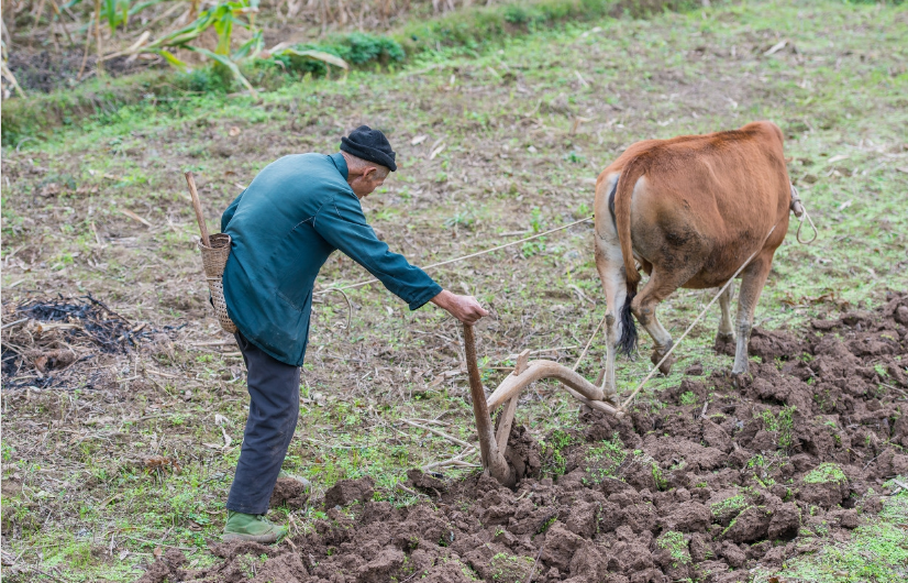 农村的老人们的生活是什么样的