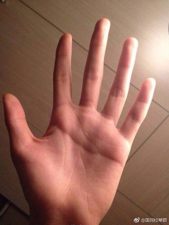 颜值不够拿手来凑手控福利晒晒你喜欢的美手吧