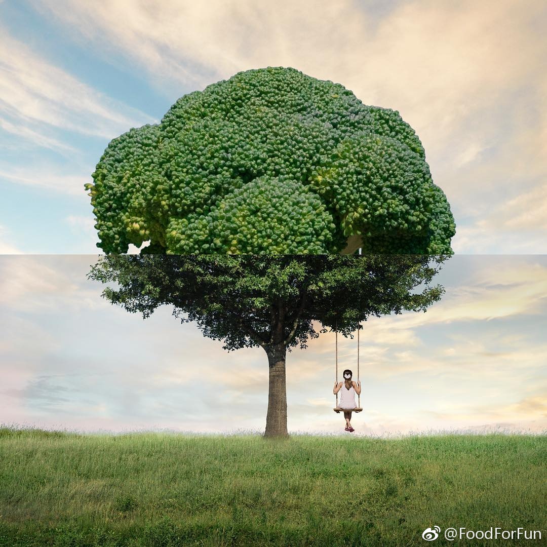 美国艺术家stephen mcmennamy的"连击"摄影作品from ig combophoto