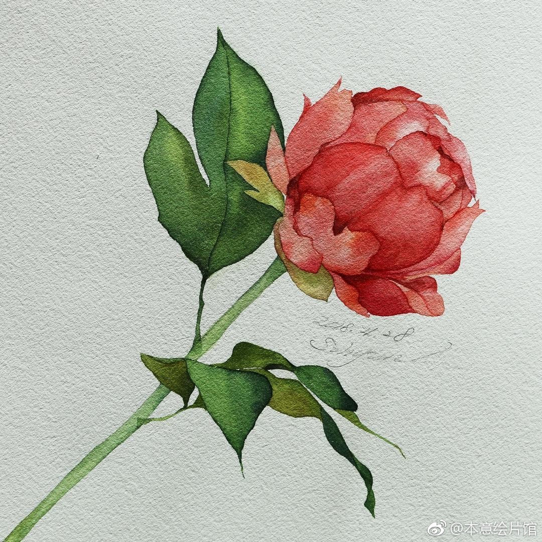 韩式水彩花卉作品欣赏insveryhyun7