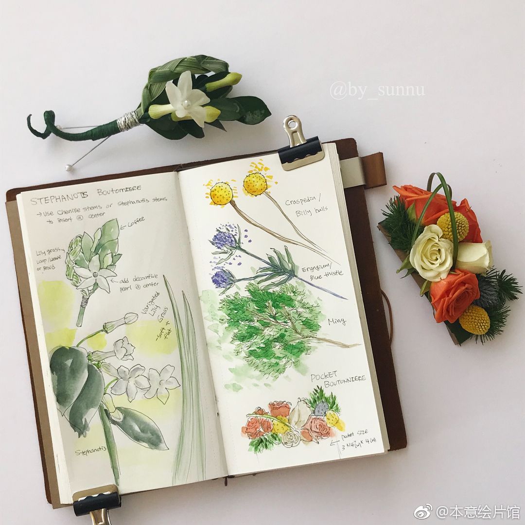 植物手绘手帐 | ins:by_sunnu