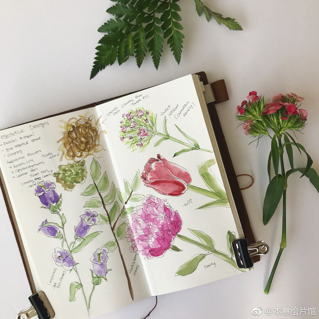 植物手绘手帐 | ins:by_sunnu