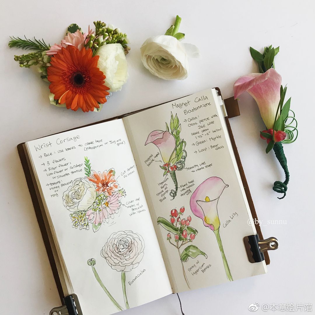 植物手绘手帐 | ins:by_sunnu