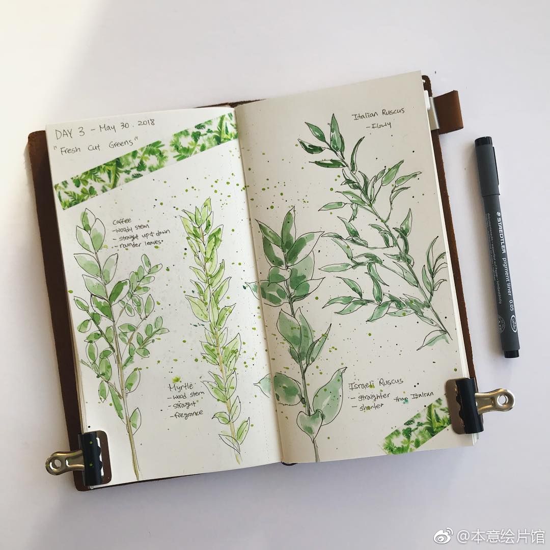 植物手绘手帐 | ins:by_sunnu