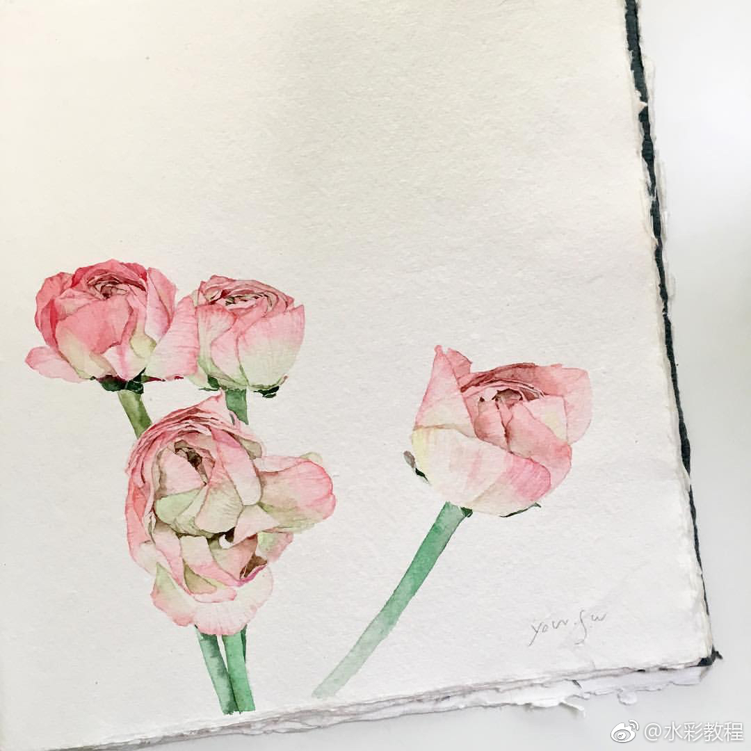 水彩花卉植物作品欣赏byinsnunuartroom