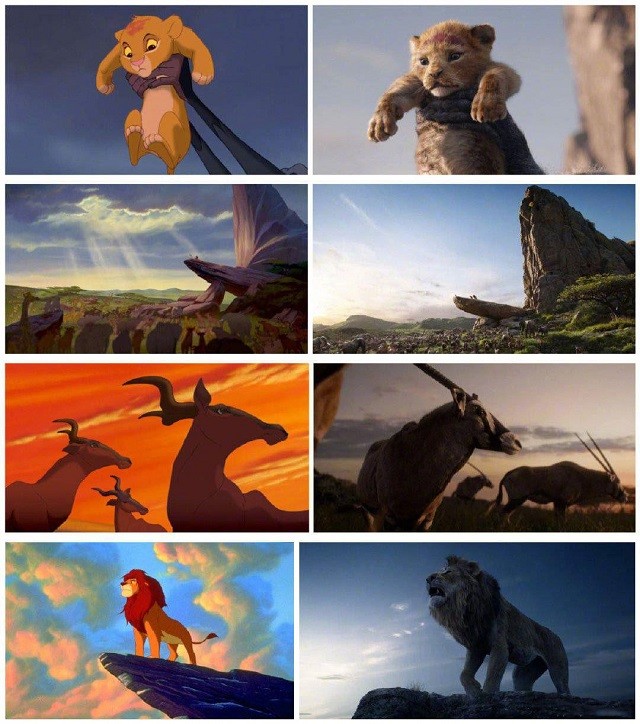 后逃离家园后,不断成长,终于回到家园,拨乱反正,并成为一代狮王的故事