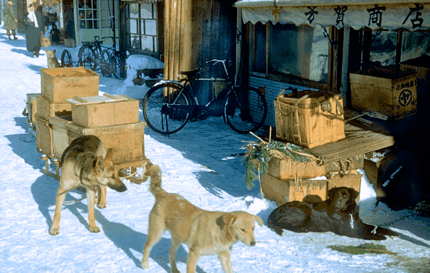 1950年的日本老照片, 街头粪桶随处可见, 干净非一天形成