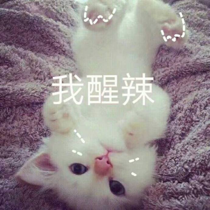一组超萌超可爱表情包