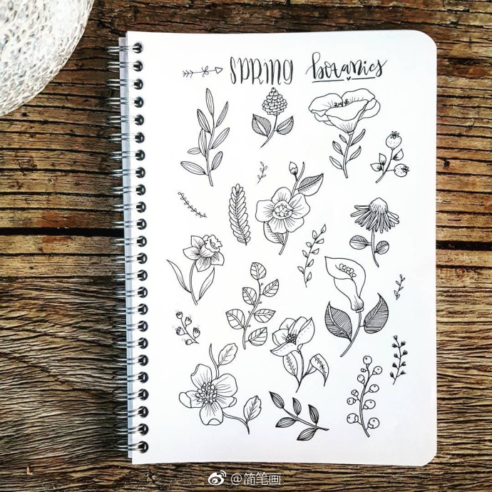 黑白植物手绘手帐素材(ins:yiramee)