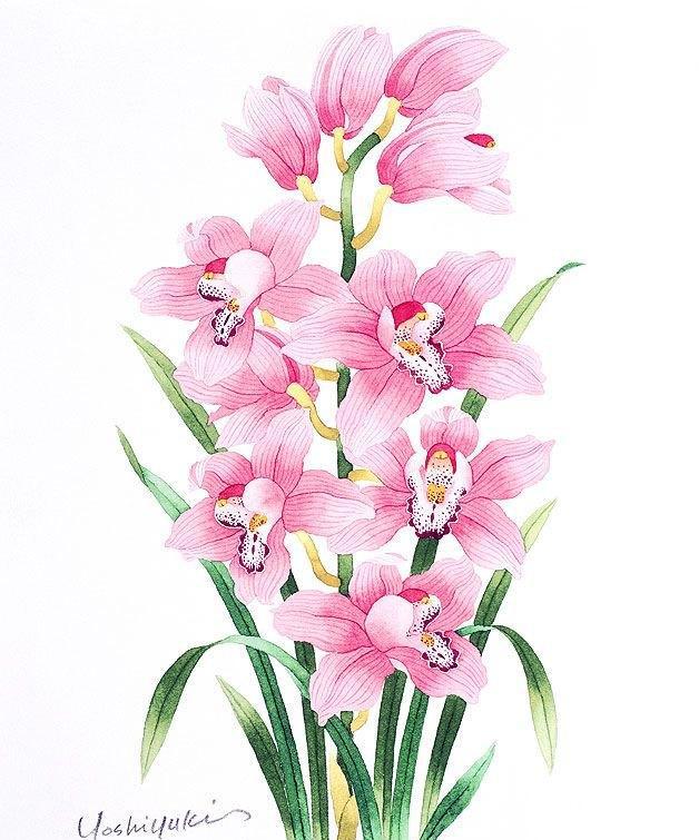 写实水彩画怎么画看看这些花