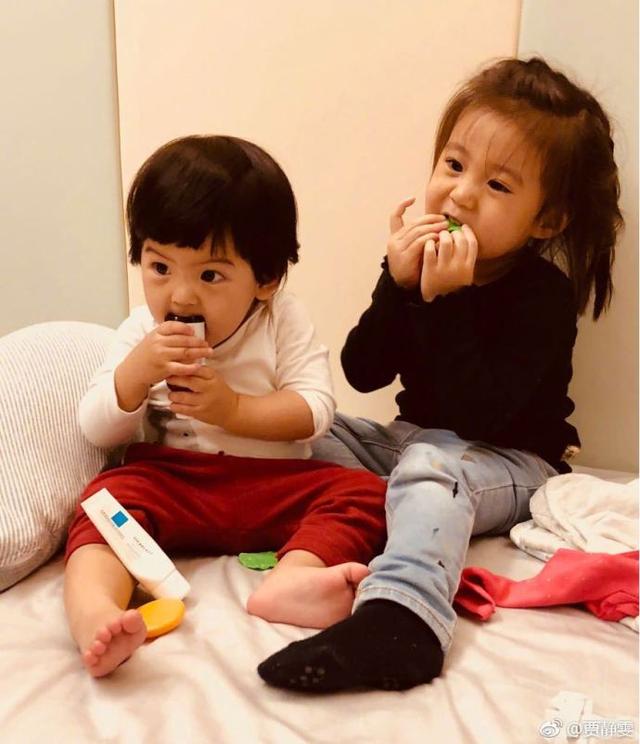 贾静雯微博控诉波妞不穿衣服乱跑,波妞新造型