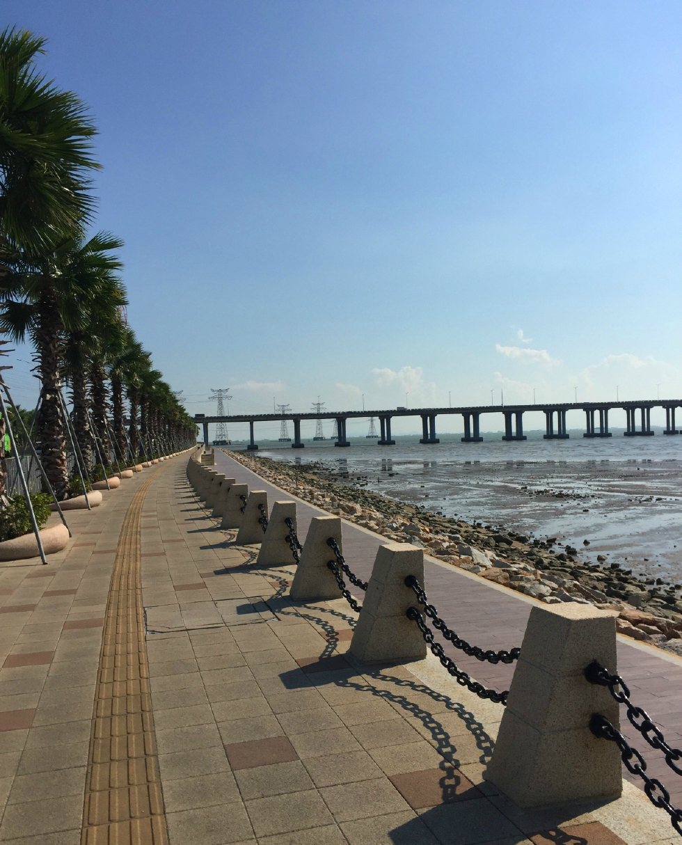 深圳西湾红树林走3公里长滨海步道看不一样的海景