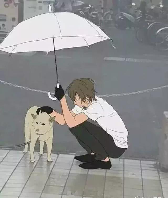 日本网友见到雨中的柴犬主动上前撑伞挡雨路人做成漫画