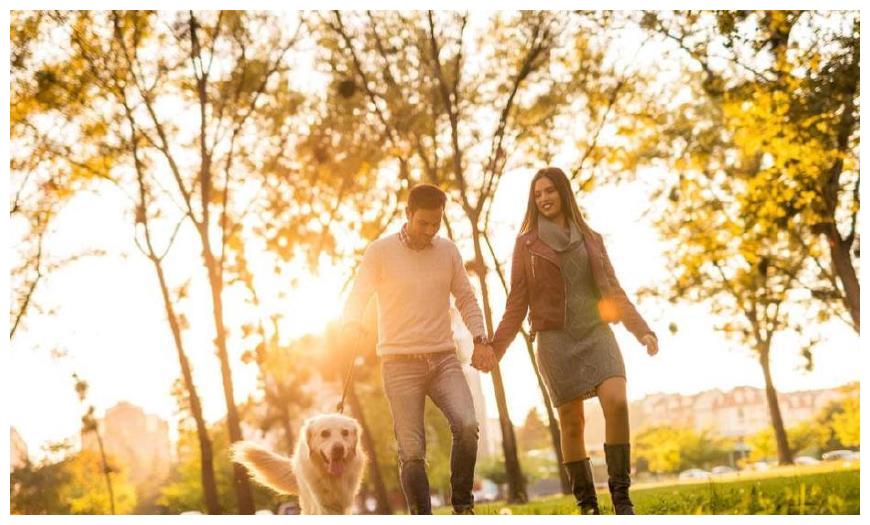 已婚夫妇会过上幸福的生活吗?网友:最重要的是要看这对夫妇的三