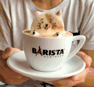 可爱度爆表的3d咖啡拉花,简直爱到犯规!