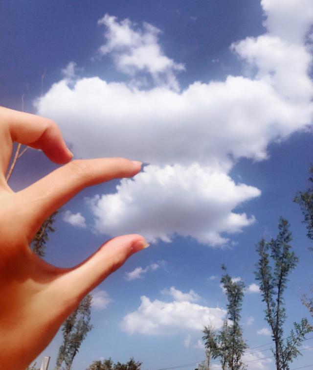 垂手可得的"棉花糖"