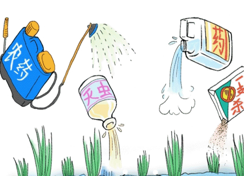 农药步入扫码时代 二维码没你想像中那么难