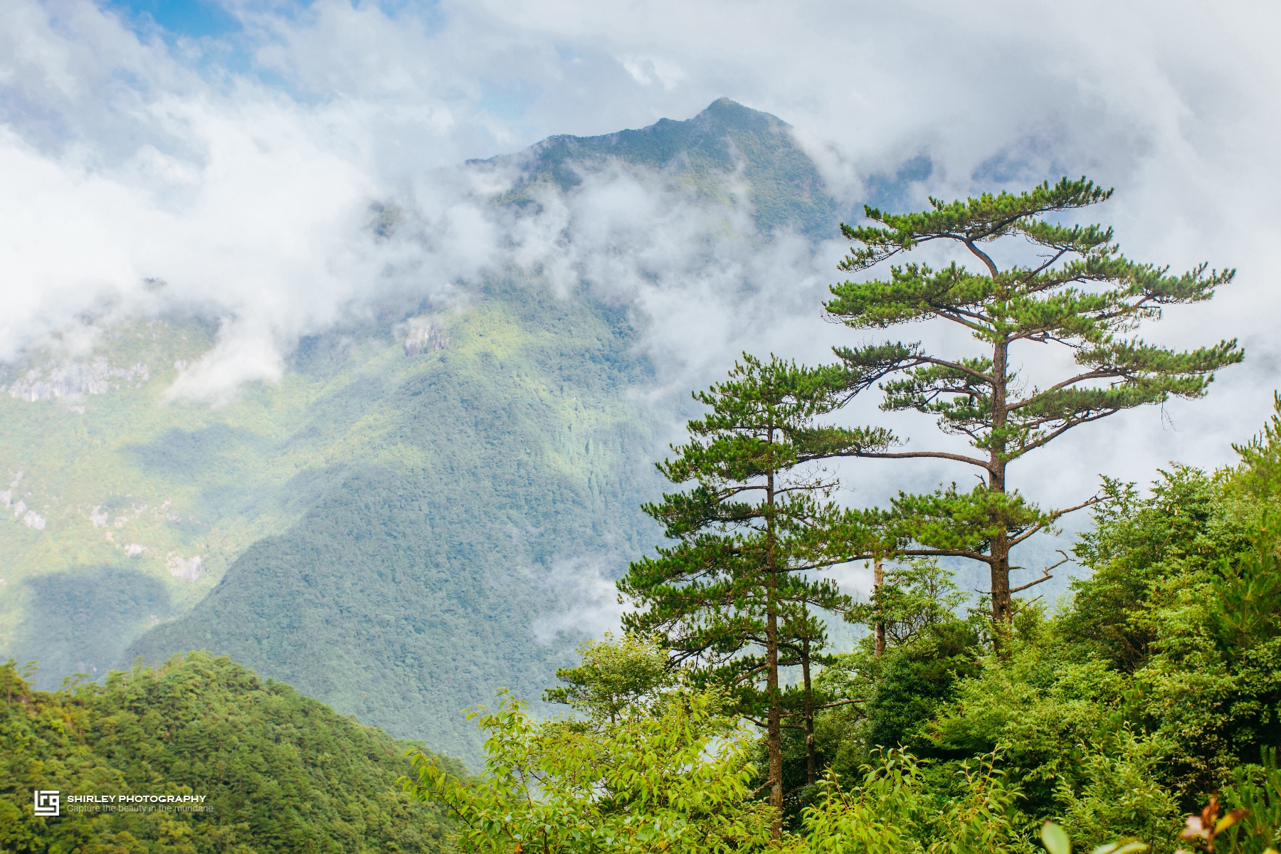 日出云海,高山草甸,密林幽壑,泉水淙淙