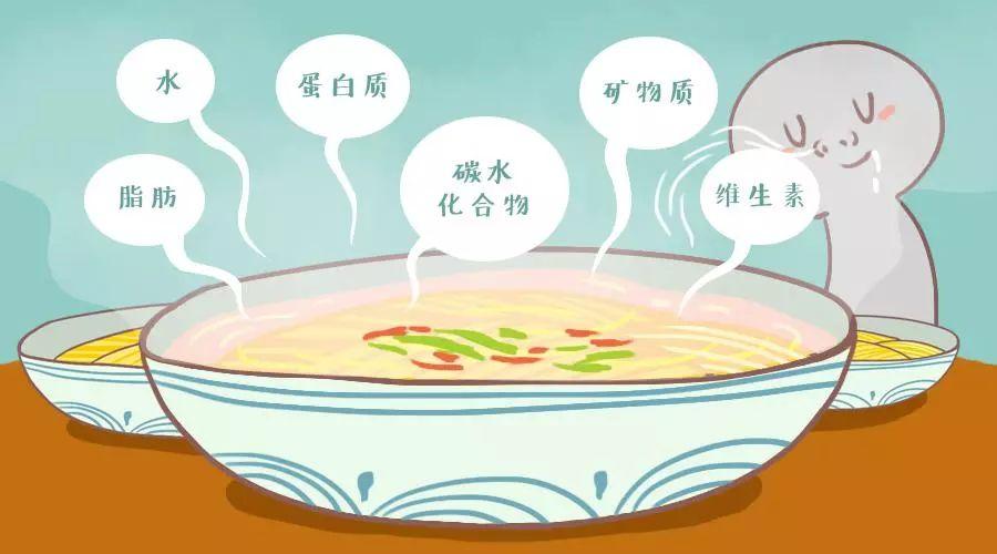 肥胖的这些小知识,您可能并不知道|碳水化合物|肥胖症|卡路里_新浪