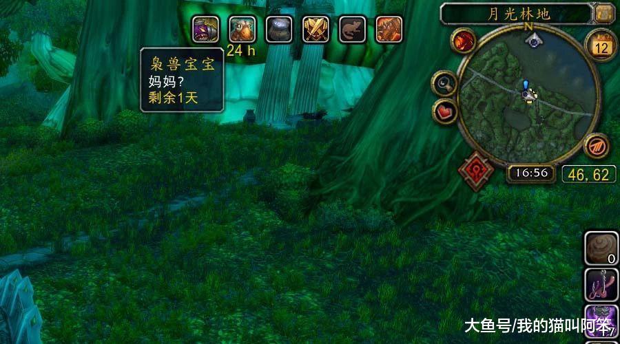 魔兽世界枭兽节, 带上5只萌萌哒的枭兽宝宝去玩吧|宝宝|魔兽世界|萨维_新浪新闻