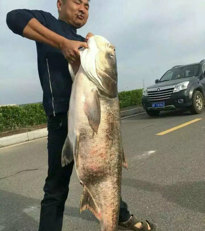 钓上特大号包头鱼,太激动,一向不支持钓鱼的媳妇儿都来合影