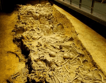 长平之战赵军真的是被活埋的一位老农的发现将这一说法推翻