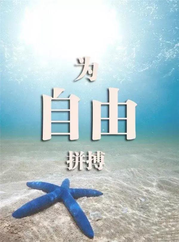 高考励志语录经典短句霸气犀利高考励志正能量图片句子