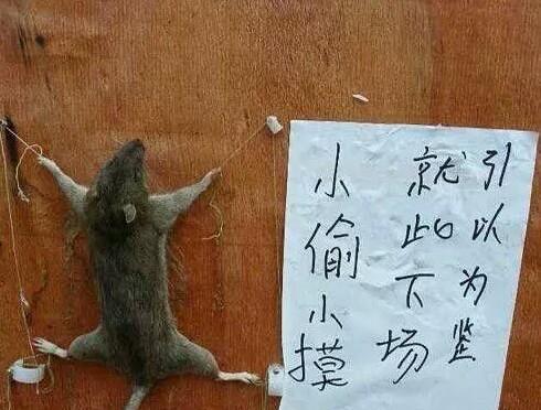 夜深了,翻来覆去睡不着的时候,偷着看看这26张图,笑到精神抖擞