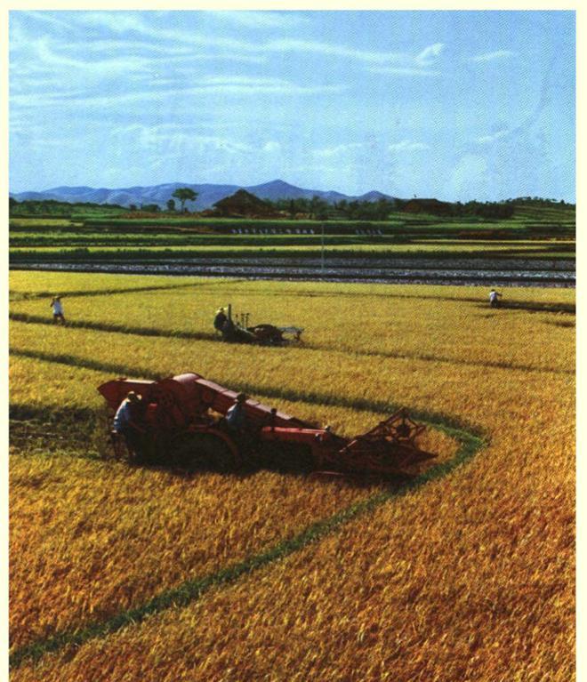 1971年画报上的中国: 现在很少见的精神