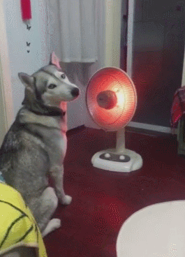 265_368竖版 竖屏gif 动态图 动图