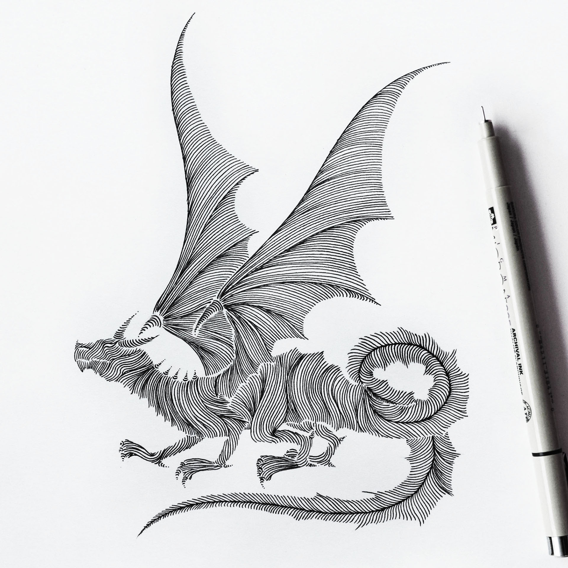 animallines插图美术绘图