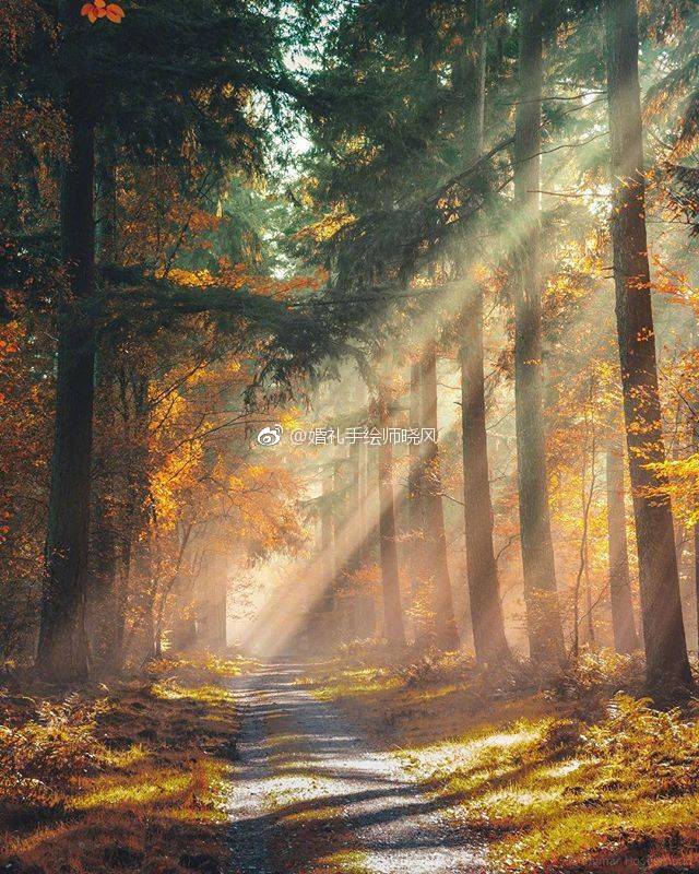 图片网站seo优化