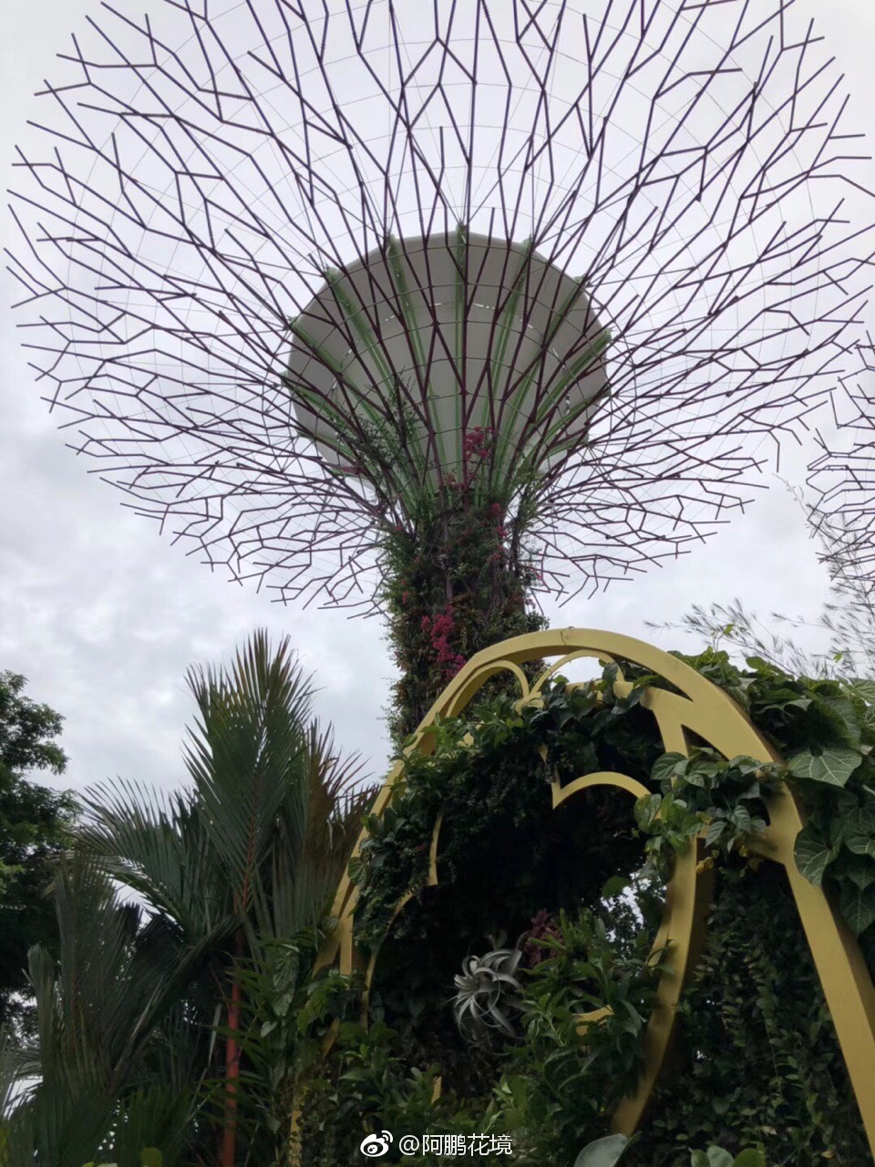 天空之树,新加坡