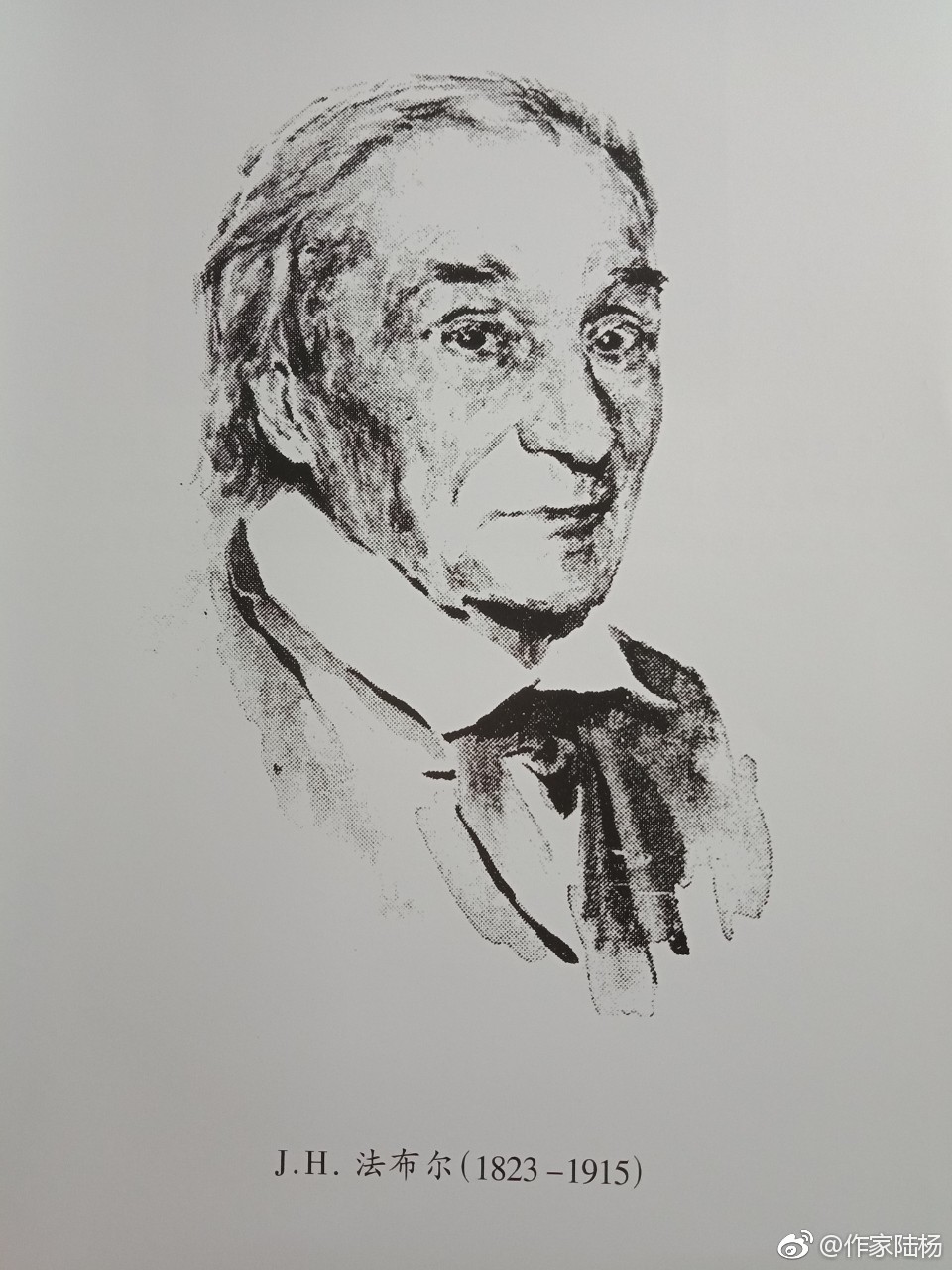 作家陆杨荐书:法布尔的《昆虫记》(10册)@花城出版社