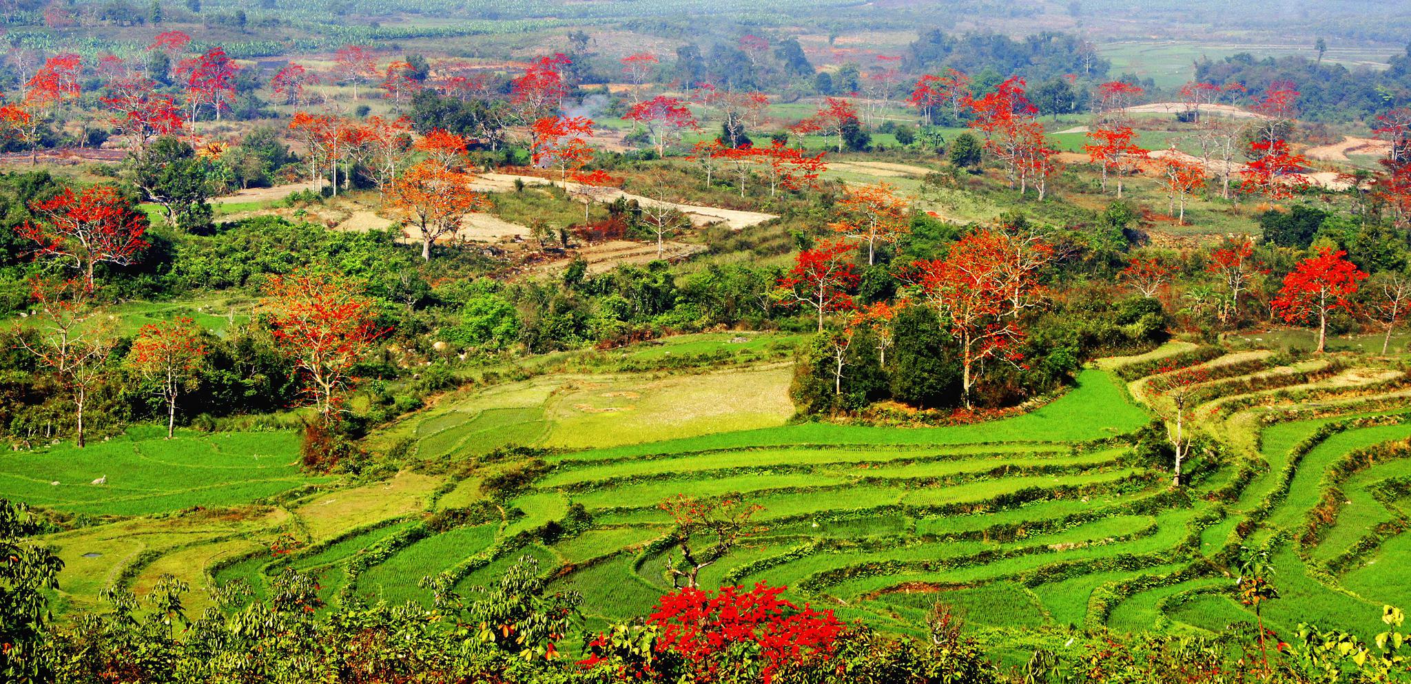 华能昌江核电7岗待遇 海南昌江核电站薪资福利
