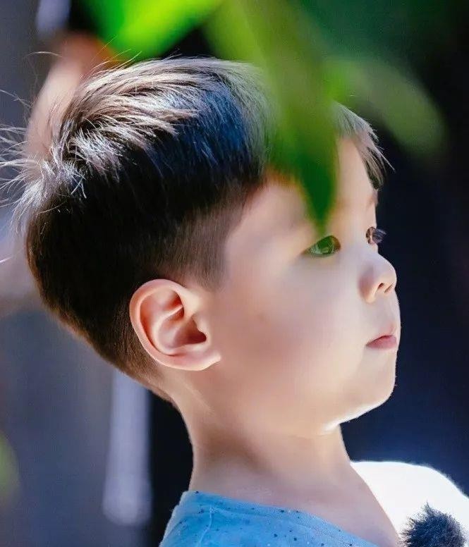 嗯哼再次示爱小泡芙, 你还想要我亲你吗!|小泡芙|小孩子|节目_新浪新