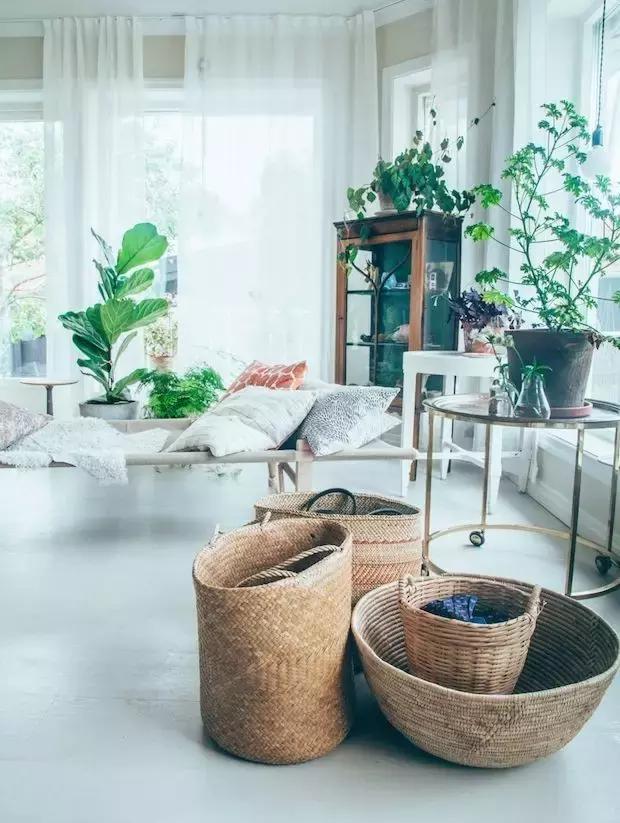 绿植相伴的家简单而又温馨