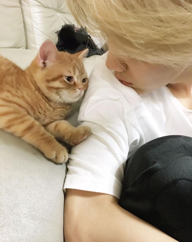 鹿晗就是典型的爱猫男人体质难怪女生们都爱他