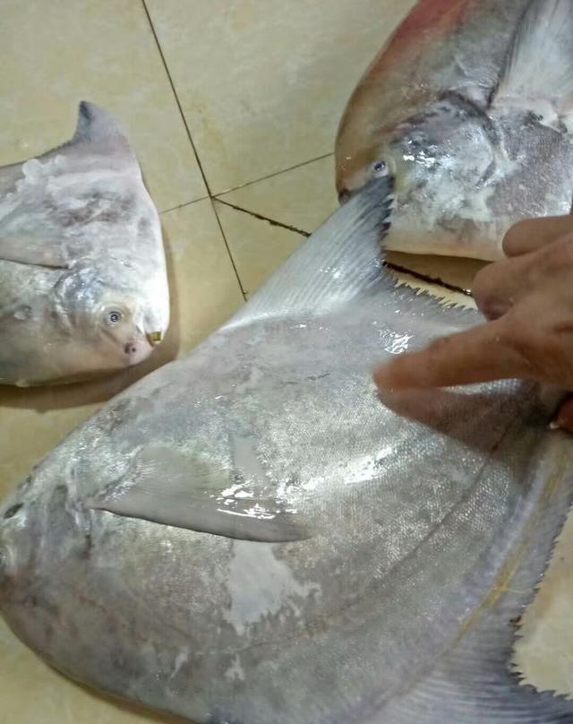 遇见这些美味抵抗力是零下八度啊