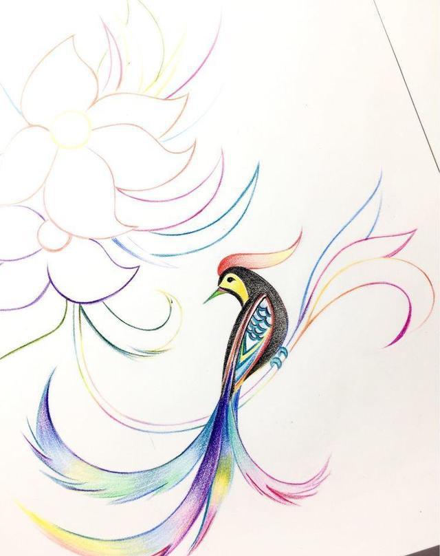 想要提高彩铅线条的小伙伴们看过来凤尾花70彩铅手绘教程