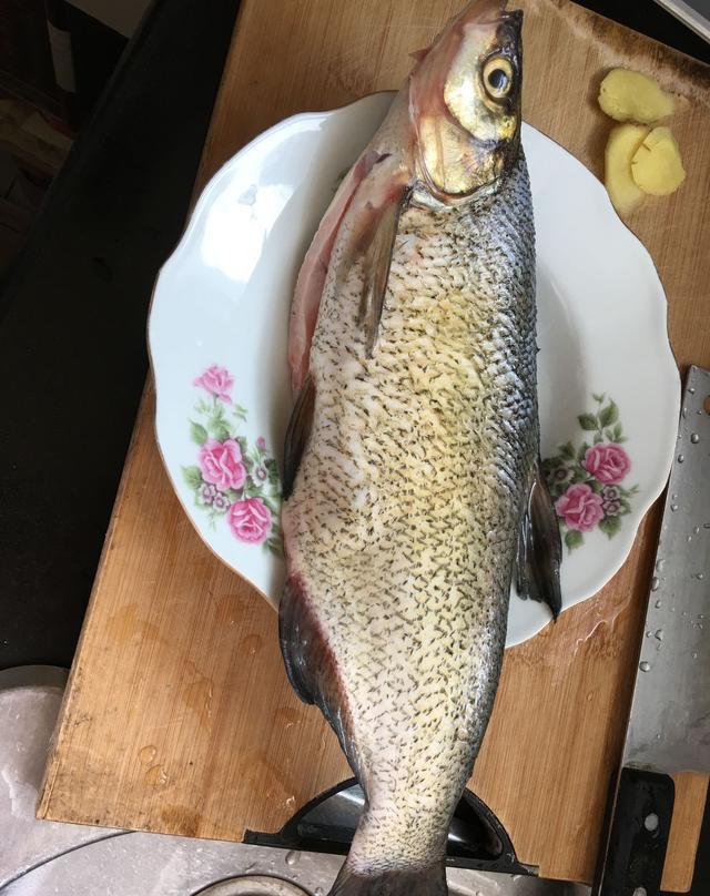 打开火,锅里油烧热,放鳊鱼锅里煎一下,反过来在煎一下,煎两面黄锅里放