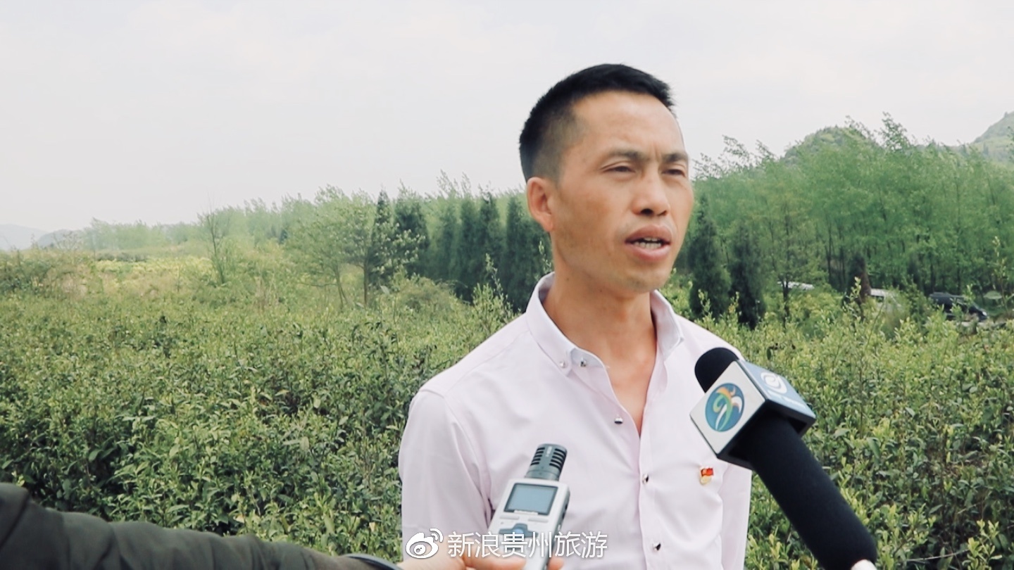 据王坝村支书罗启文介绍,早在1986年,王坝村便在贵阳市农科院的帮助下