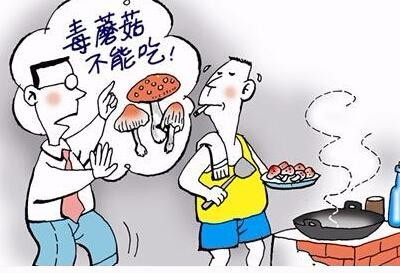 一家三口食用野生蘑菇中毒,小女儿不幸身亡,毒蘑菇如何鉴别?