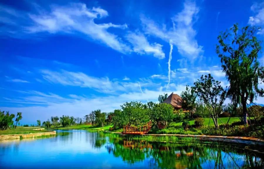 天逸海湾:山川草木,画境相逢