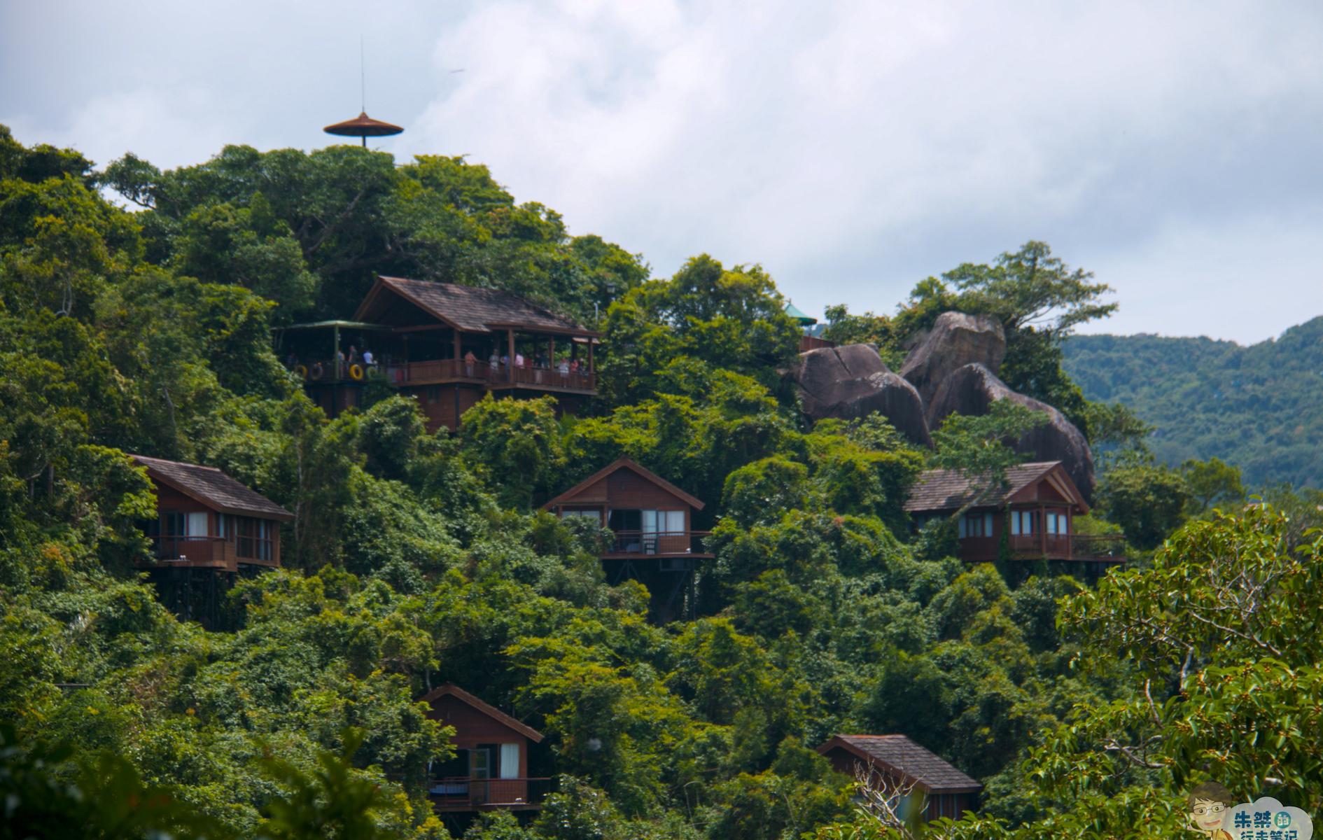 中国第一个生态省,深藏着一个离城市最近的天然森林氧吧