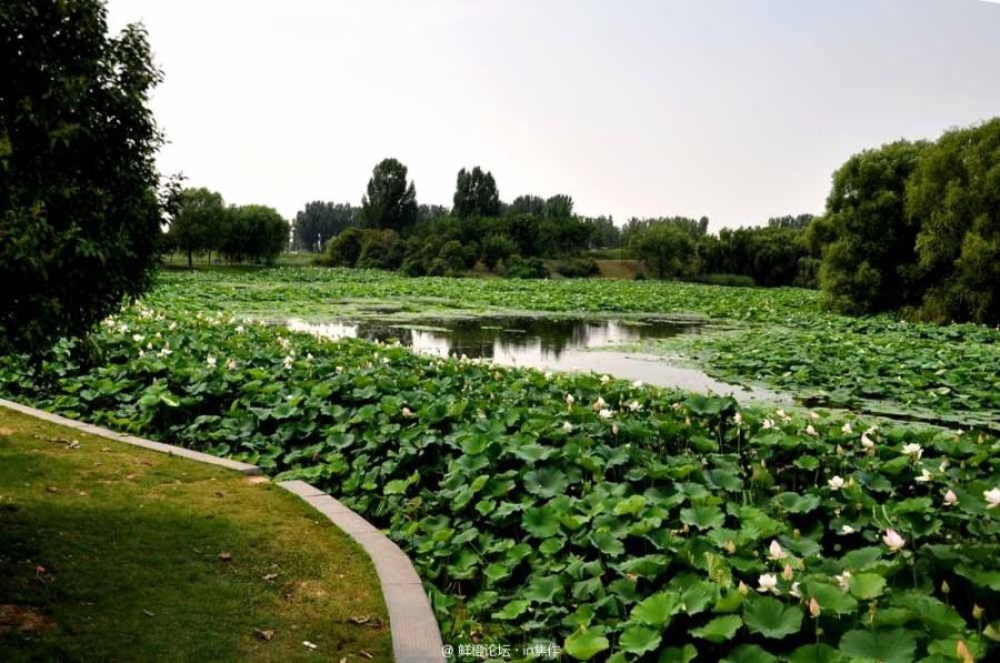 河南焦作孟州市四个值得一游的旅游景区,看看有去过几个?