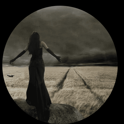 435_435gif 动态图 动图