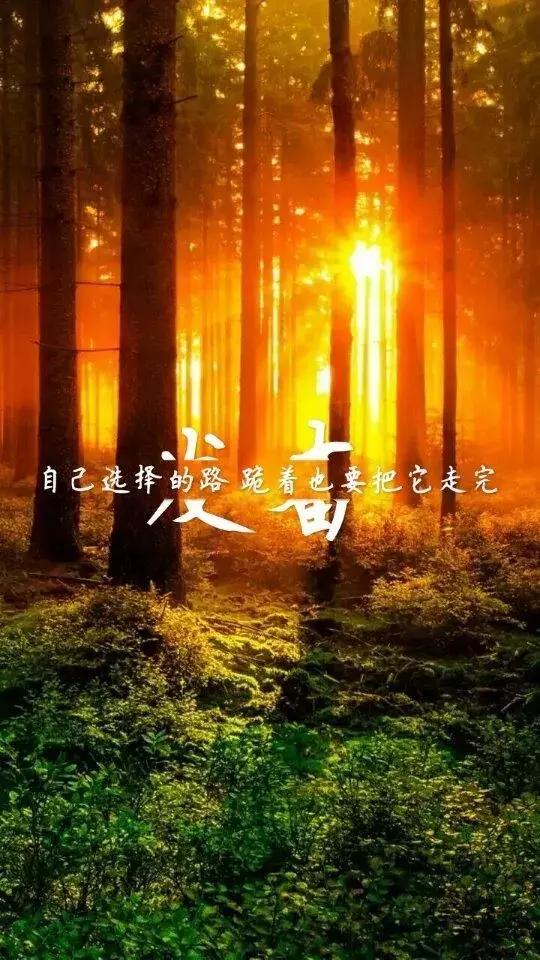 高考励志语录经典短句霸气犀利高考励志正能量图片句子