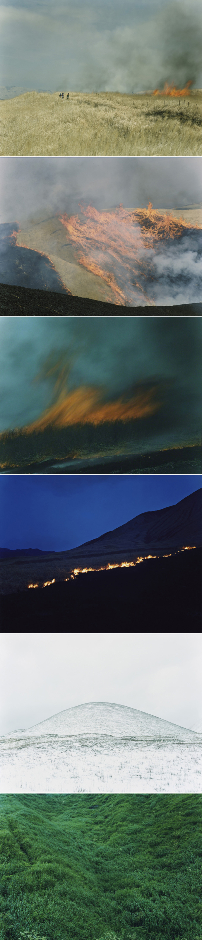 川内伦子(rinko kawauchi)摄影集