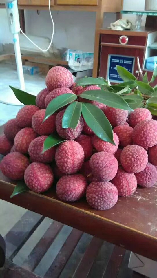 互动:荔枝大丰收,说说你们家现在荔枝卖多少钱一斤